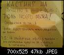 238202.jpg