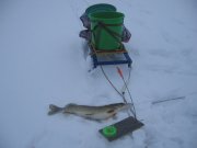 IMG_3858.JPG