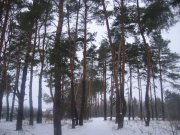 IMG_3837.JPG