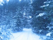 IMG_3819.JPG