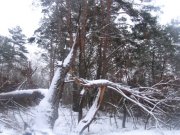 IMG_3841.JPG