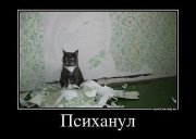 псих.jpg