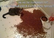 4 утра.jpg