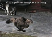 выхи.jpg