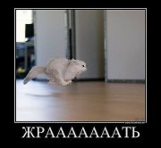 жрать.jpg