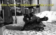 кресло.jpg
