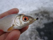 DSC00723.JPG