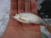 DSC00720.JPG