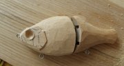IMG_20130116_051957.jpg