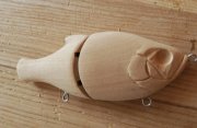 IMG_20130116_051821.jpg