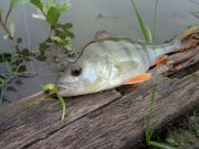 DSC00308.JPG