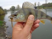DSC00328.JPG