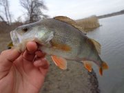 DSC00621.JPG