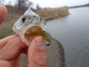 DSC00622.JPG