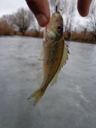 DSC00737.JPG
