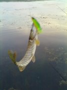 15092012363.jpg