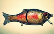 IMG_20130129_042846.jpg