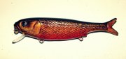IMG_20130129_043153.jpg