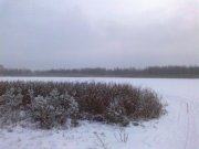 30012013369.jpg