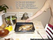 котэ.jpg