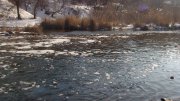 DSC04634.JPG