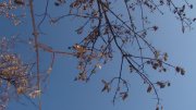 DSC04645.JPG