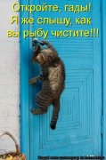 чуйка.jpg
