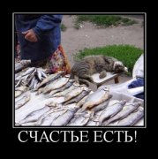 счастье.jpg