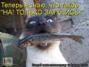 заткнул.jpg