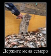 искушение.jpg