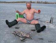 морж.jpg