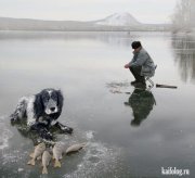 попробуй забери.jpg