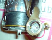 DSC02386.jpg