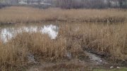 DSC04649.JPG