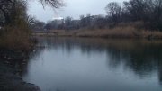 DSC04650.JPG