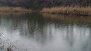 DSC04654.JPG