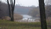 DSC04655.JPG
