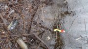 DSC04660.JPG