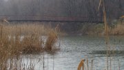 DSC04664.JPG
