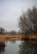 IMG_1773.jpg
