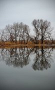 IMG_1777.jpg