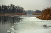 IMG_1786.jpg