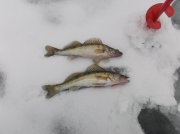 DSCF5499.JPG