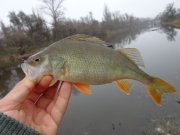 DSC00794.JPG