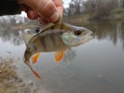 DSC00791.JPG
