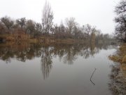DSC00792.JPG