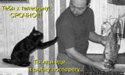 рыбка.jpg