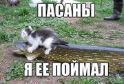 поймал.jpg