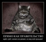 правительство.jpg