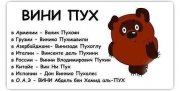 вини.jpg